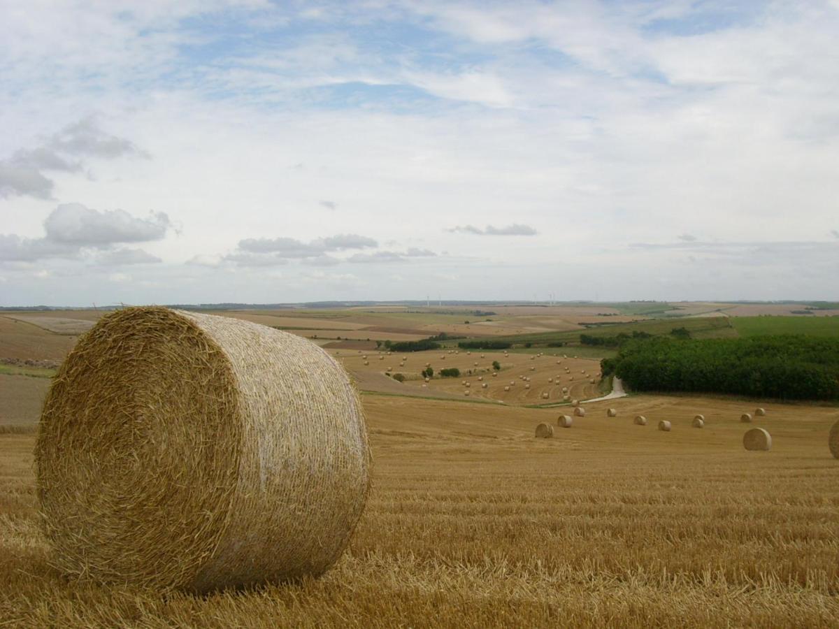 Gite Rural Le Bois Roger Widehem Exterior photo